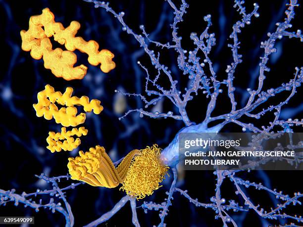 ilustraciones, imágenes clip art, dibujos animados e iconos de stock de amyloid beta peptide, illustration - enfermedad de alzheimer