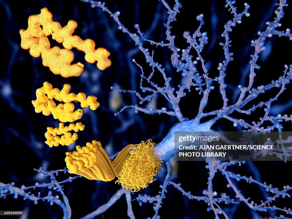 Amyloid beta peptide, illustration