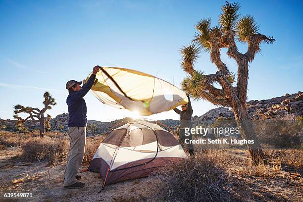 campers assembling tent, joshua tree national park, california - joshua tree stock pictures, royalty-free photos & images