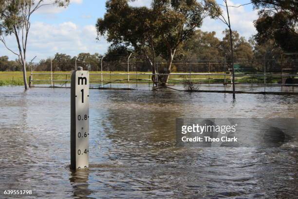 flood depth indicator measuring flood - new south wales stock pictures, royalty-free photos & images