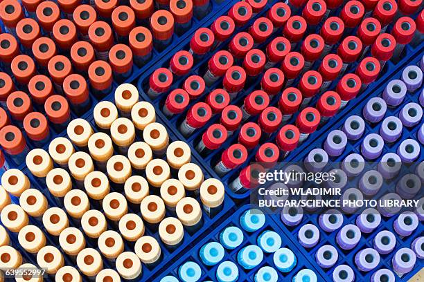 vacutainer tubes - blood tubes stock pictures, royalty-free photos & images