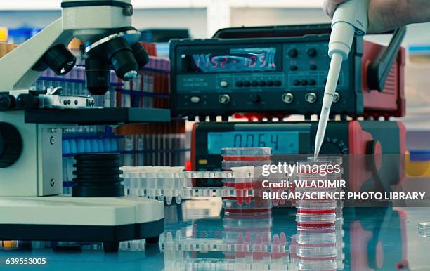 Pipetting Machine 285 Pipette Machine Stock Photos, High-Res Pictures, and Images - Getty ...