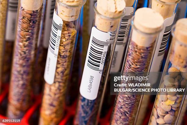 Food Sample Testing Store 187 Test Tube With Barcode Stock Photos, High-Res Pictures, and Images ...