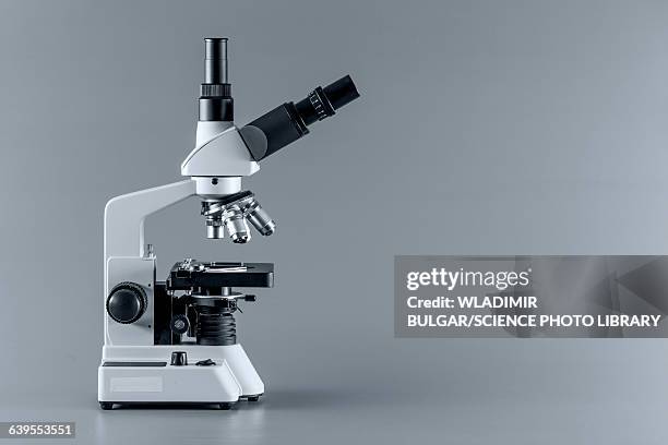 laboratory microscope - microscope stock pictures, royalty-free photos & images