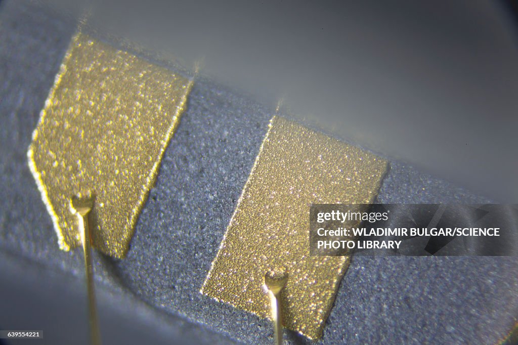 Gold contacts of a microchip