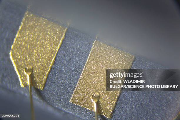 858 Gold Micro Chip Stock Photos, High-Res Pictures, and Images - Getty ...