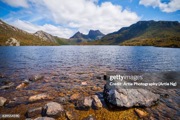 view of cradle mountain in the cradle mountain-lake st clair national park, central highlands region of tasmania, australia - waratahs blues stock pictures, royalty-free photos & images