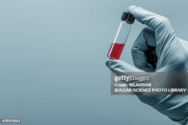 person holding virology test tube - people taking test or quiz stock-fotos und bilder