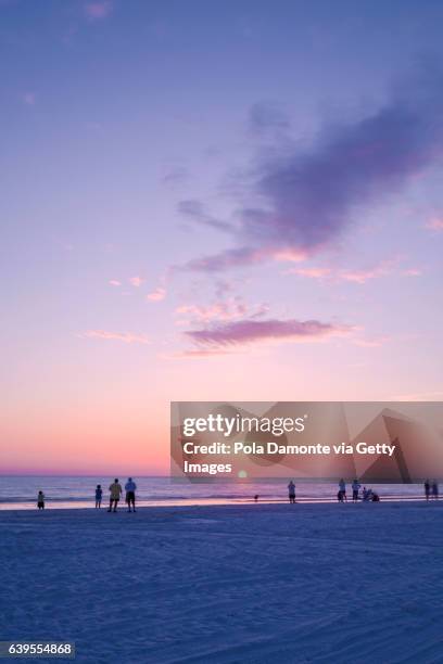 gulf of mexico beach. marco island beach in florida - marco island 個照片及圖片檔