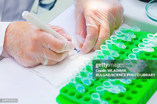 Microtubes Lab 155 Microtube Stock Photos, High-Res Pictures, and Images - Getty Images