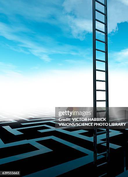 maze with ladder, illustration - eskapismus stock-grafiken, -clipart, -cartoons und -symbole