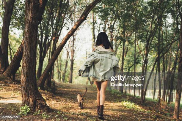 young woman tourist walking in the forest with her cat - cat behind stock-fotos und bilder