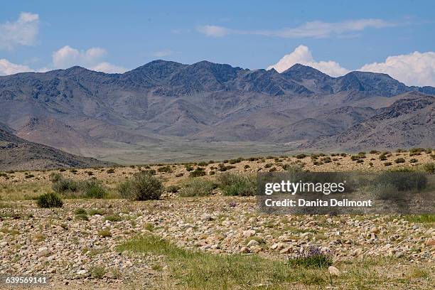 high desert valley, altan hokhii, khovd province, mongolia - khovd stock pictures, royalty-free photos & images