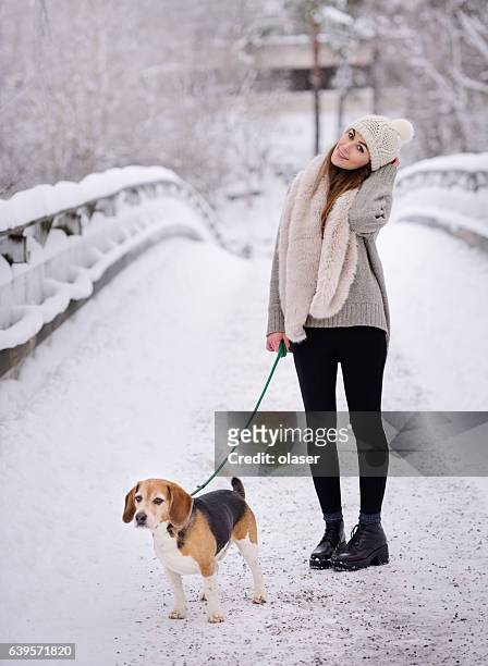 happy woman with beagle dog on winter bridge - happy lady walking dog stockfoto's en -beelden