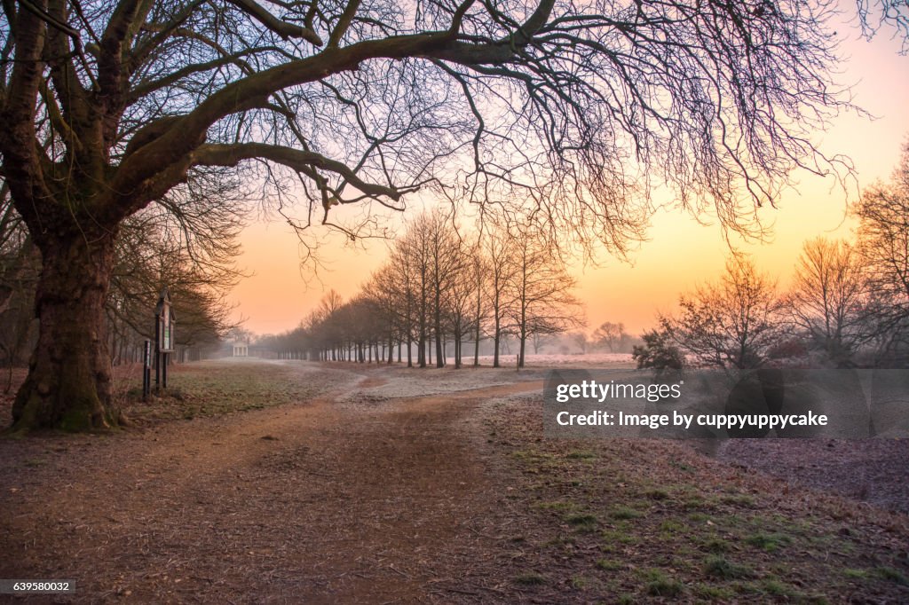 Sunday morning in Wanstead Park
