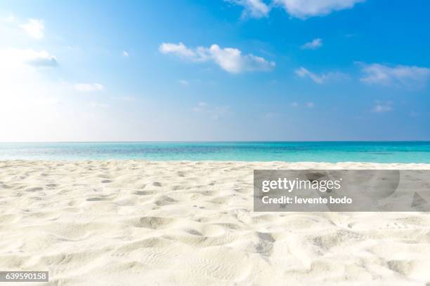 tropical beach sea sand sky and summer day. empty sea and beach background with copy space - sunny bildbanksfoton och bilder