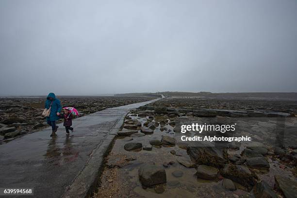 st mary's lighthouse - st marys island stock pictures, royalty-free photos & images