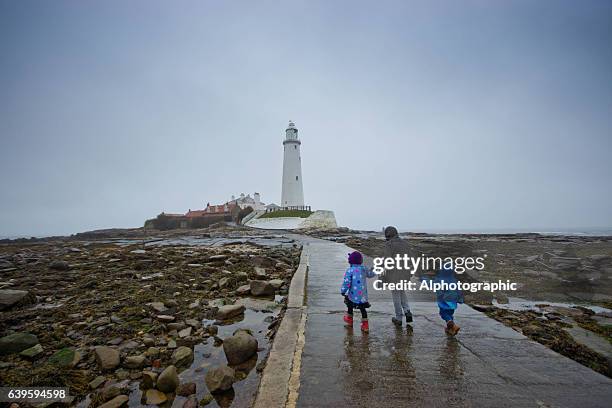 st mary's lighthouse - st marys island stock pictures, royalty-free photos & images