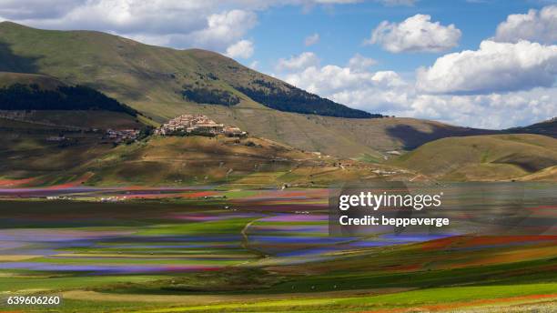 flowery meadows in castelluccio di norcia - カステッルッチョ ストックフォトと画像