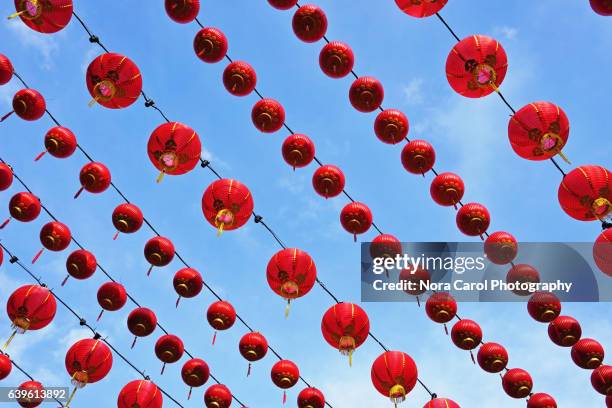 row of red chinese lanterns against blue sky. - china lantern stock pictures, royalty-free photos & images