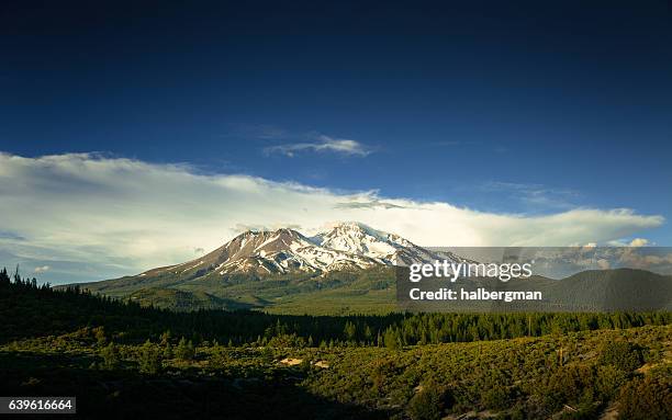 evening sun on shasta-trinity national forest - mount shasta bildbanksfoton och bilder