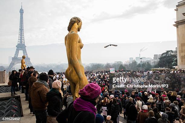 Demonstrators carrying banners and placards take part in the Women's March next to the Eiffel Tower on the Parvis des Droits de l'Homme on January...