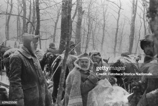 Italian Alpines retreating, photographed during a moment of rest in a forest. The driving conditions were at the limit of human endurance: the cold...