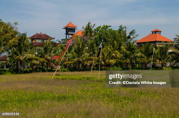 campuhan walk, ubud, bali, indonesia - campuhan ridge walk stockfoto's en -beelden