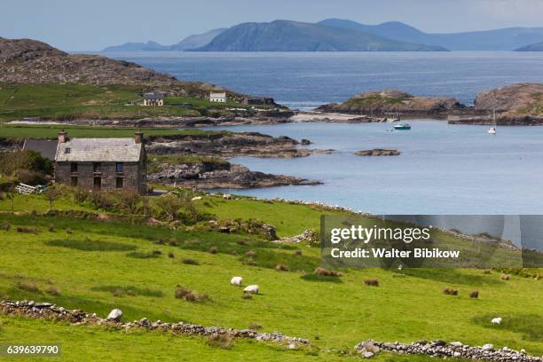 ireland, dublin, exterior - sheep ireland stock pictures, royalty-free photos & images