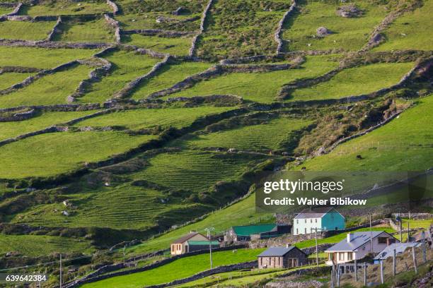 ireland, dublin, exterior - dingle peninsula bildbanksfoton och bilder