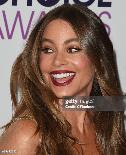 Sofia Vergara poses at the People's Choice Awards 2017 at Microsoft Theater on January 18, 2017 in Los Angeles, California.