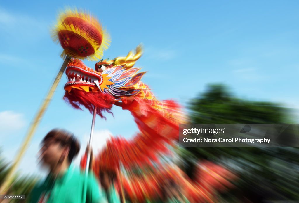 Dragon Dance During Chinese New Year