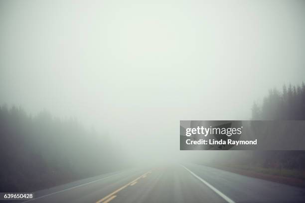 a road filled with fog - niebla fotografías e imágenes de stock