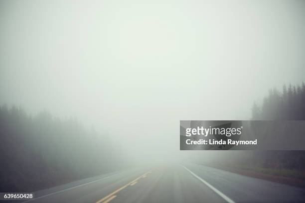 a road filled with fog - nebbia foto e immagini stock
