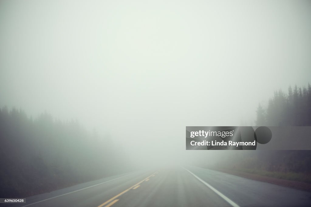 A road filled with fog