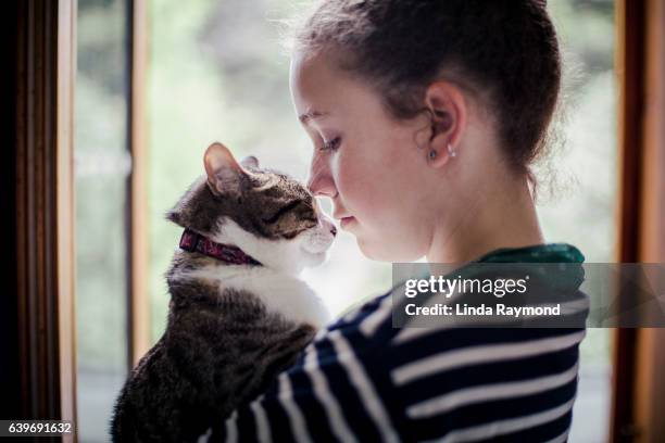 face to face between a cat and a girl - girls cuddling cat stock-fotos und bilder