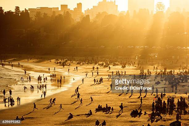 view of buceo beach at sunset, montevideo, uruguay - montevideo photos et images de collection