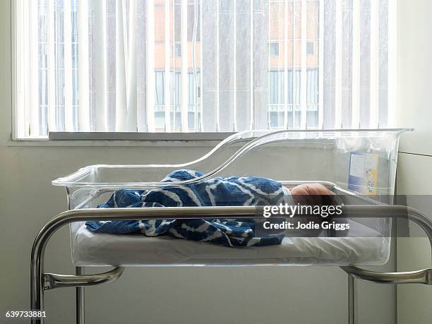 newborn baby sleeping in hospital bassinet - lettino ospedale foto e immagini stock
