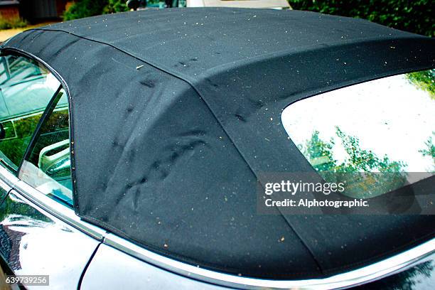 jaguar xk convertible roof - automatic gearshift stock pictures, royalty-free photos & images