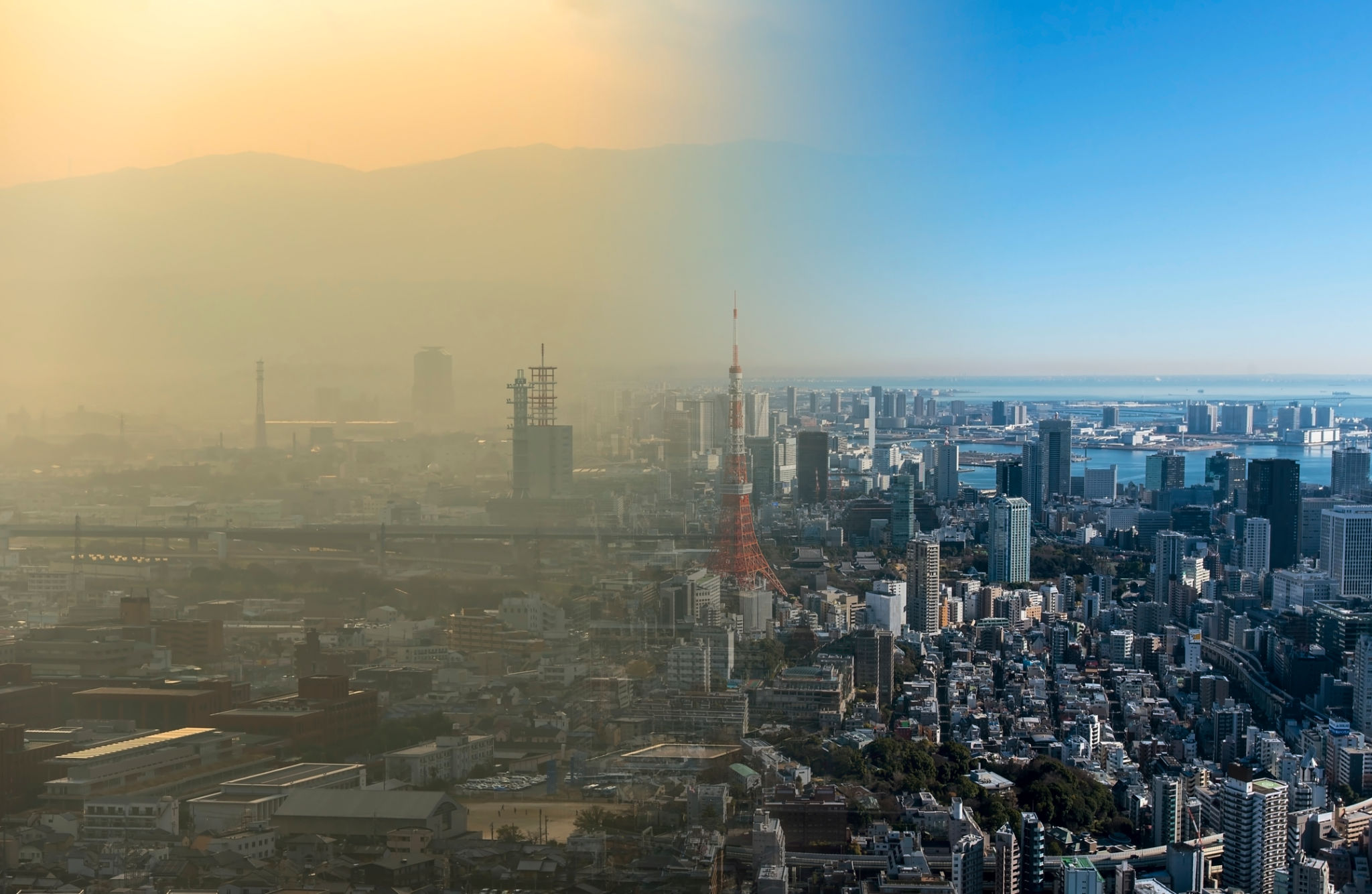 summer smog