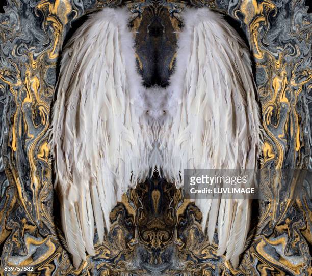 white angelwings on decorative background. - kostümflügel stock-fotos und bilder