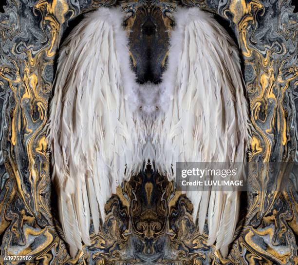 white angelwings on decorative background. - fantasia de anjo - fotografias e filmes do acervo