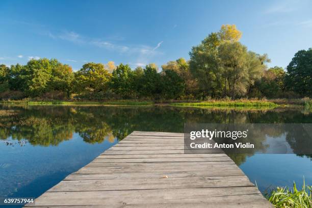 warm autumn day at a lake - jetty lake stock pictures, royalty-free photos & images