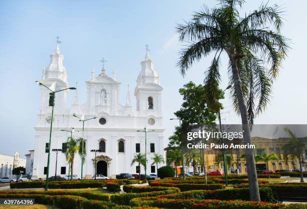 se cathedral neoclassical style in belém,brazil - paratransit bildbanksfoton och bilder