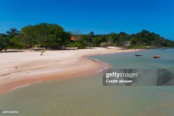 alter do chao - pará - estado pará fotografías e imágenes de stock