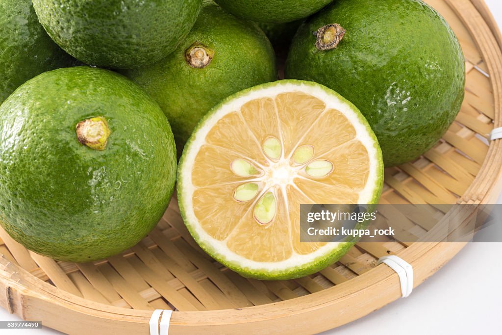 Kabosu on the colander