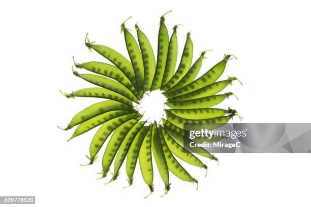 snow pea loop on white background - vagem chata imagens e fotografias de stock