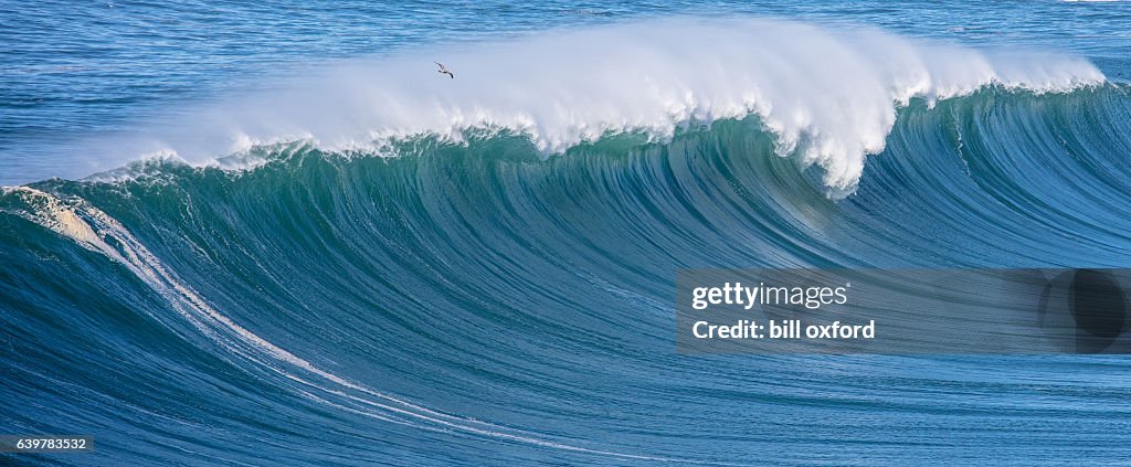 Ocean Waves