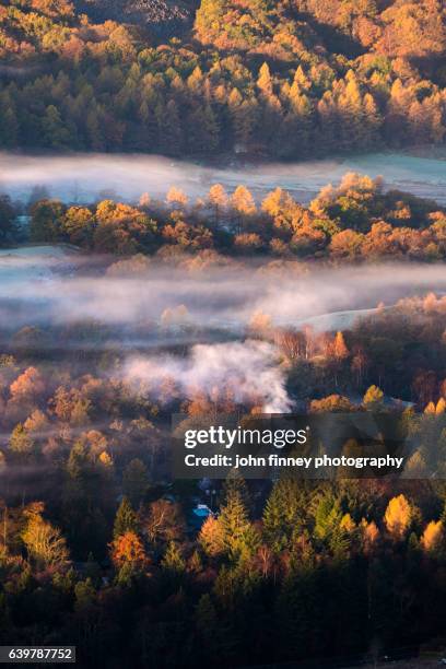 elterwater golden light over smoke and mist with autumn trees. south lake district. england, uk. - loughrigg fells stock-fotos und bilder