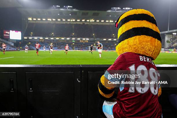 Bertie Bee mascot of Burnley watching the game during The Emirates FA Cup Third Round Replay between Burnley and Sunderland at Turf Moor on January...